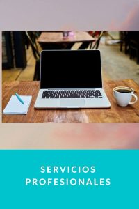 Servicios Profesionales Munduky
