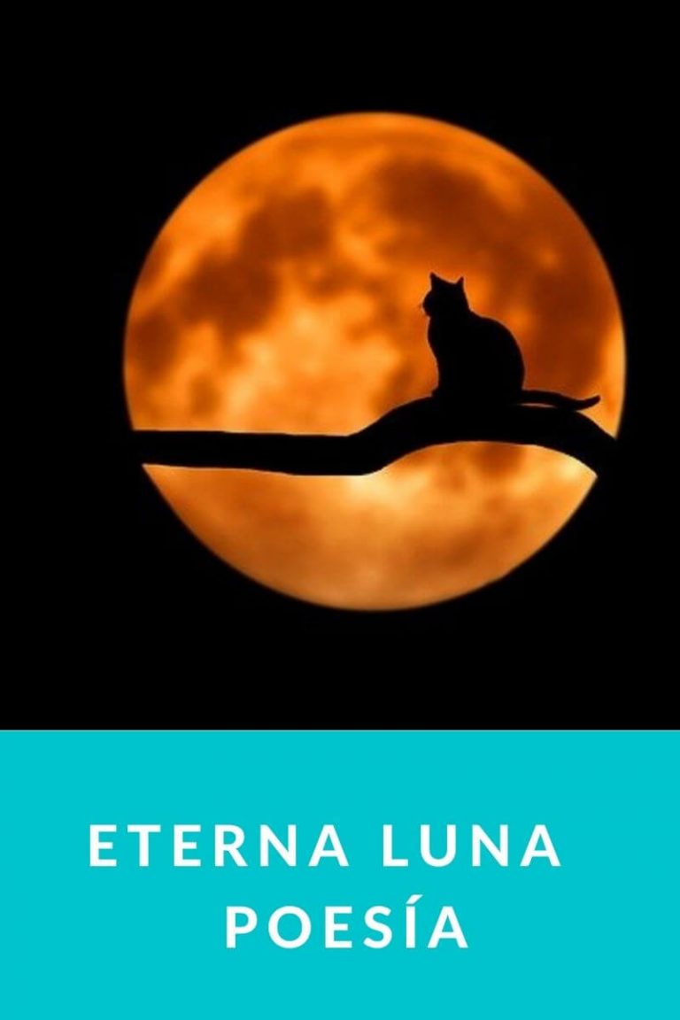 Eterna Luna – Poesía