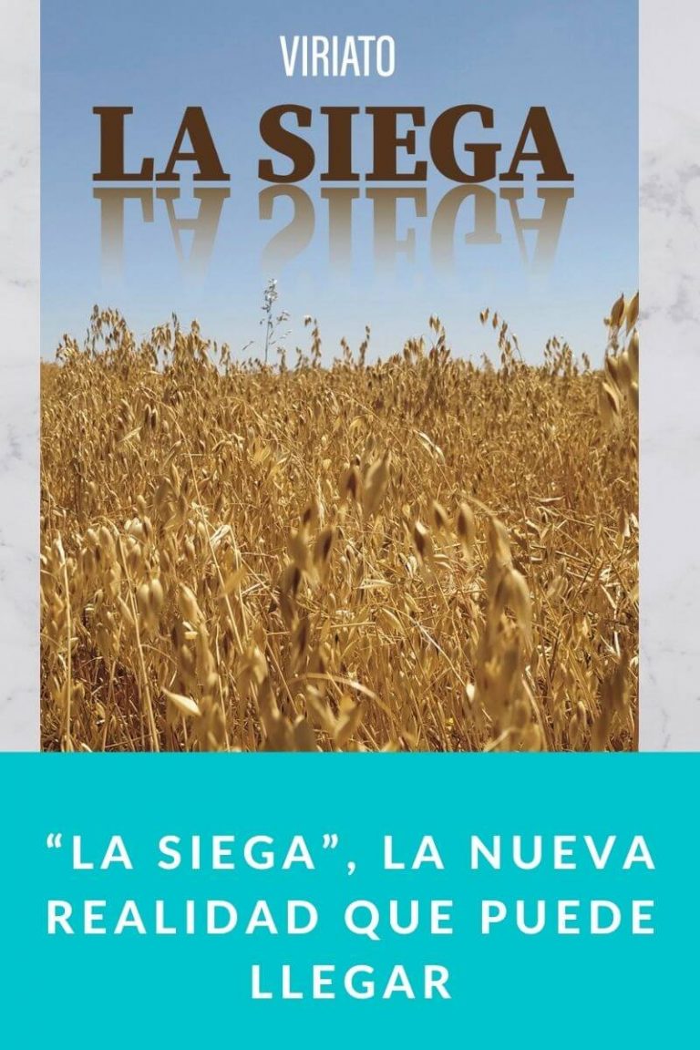 “La Siega”, la nueva realidad que puede llegar