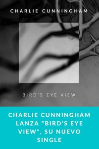 Charlie Cunningham lanza "Bird's Eye View", su nuevo single