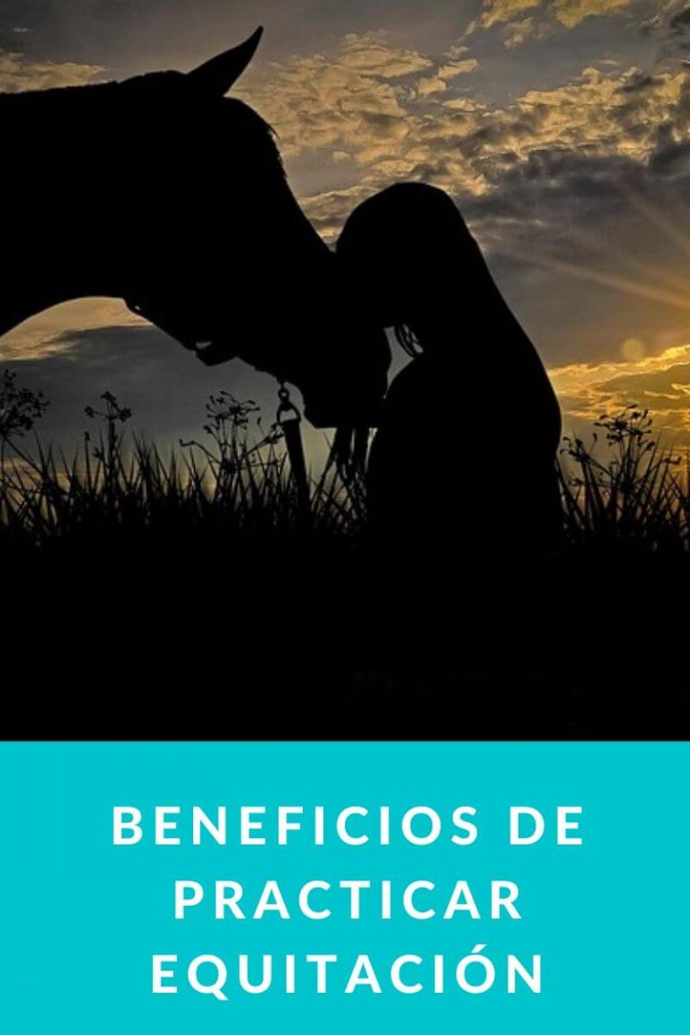 Beneficios de practicar equitación