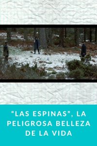 “Las Espinas”, la peligrosa belleza de la vida
