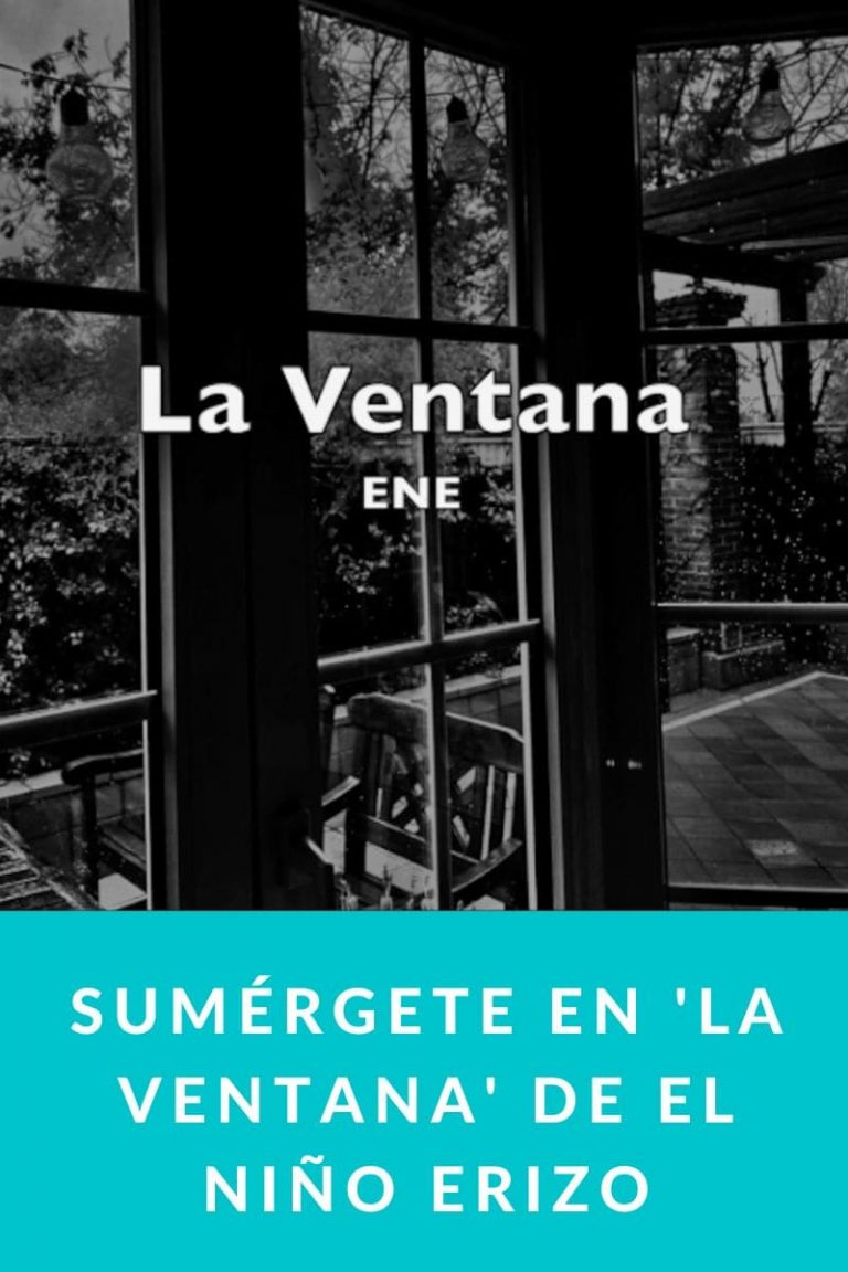 Sumérgete en ‘La Ventana’ de El Niño Erizo